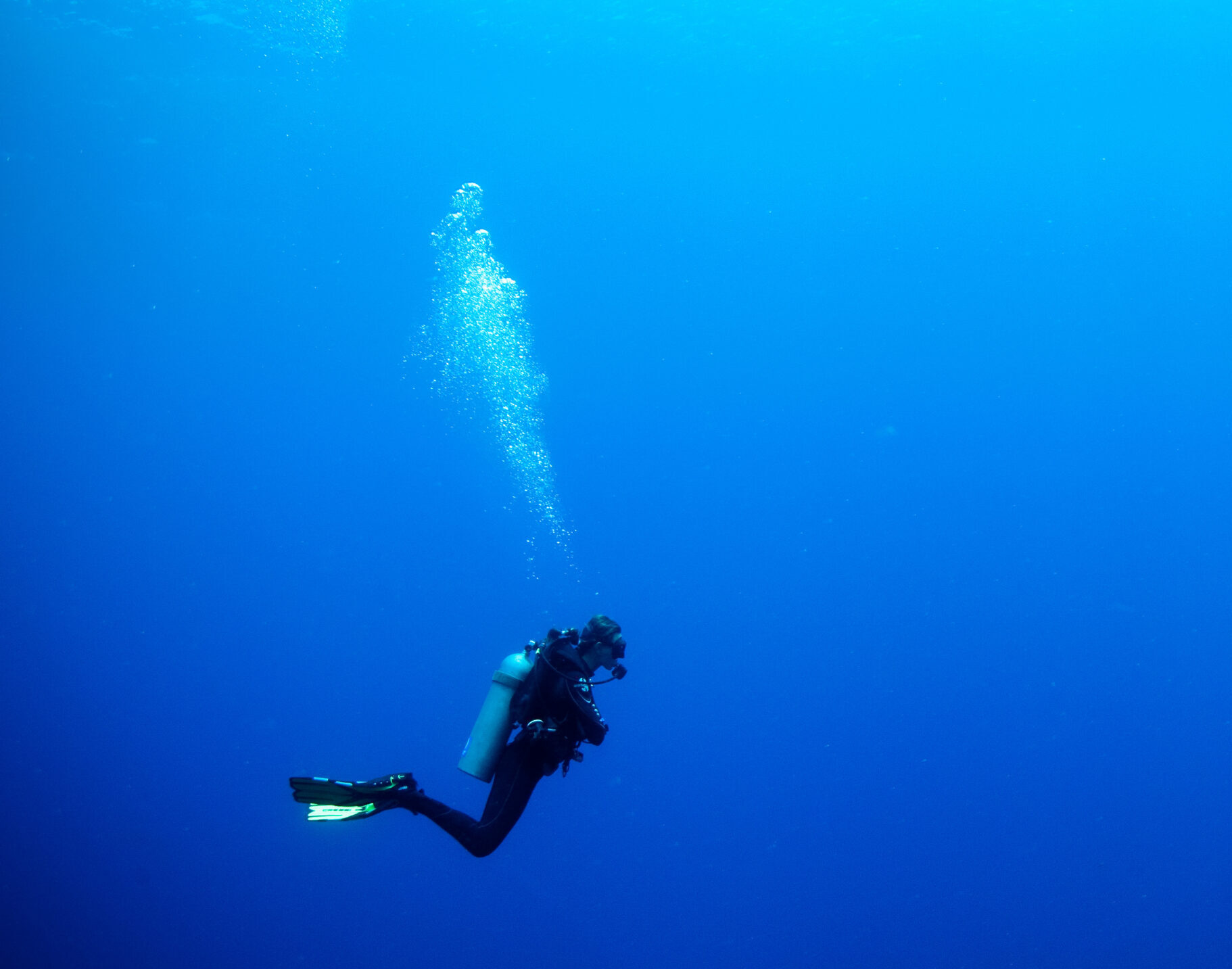 On The Nature Of Diving